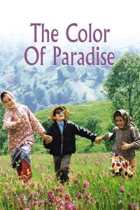 The Color Of Paradise