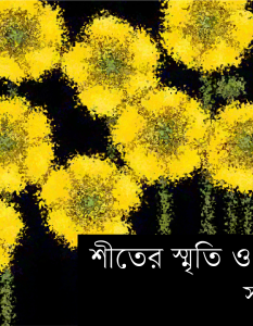 Banner_Safayet Hossain