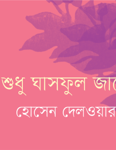 Banner_Hossain Deloyer-01