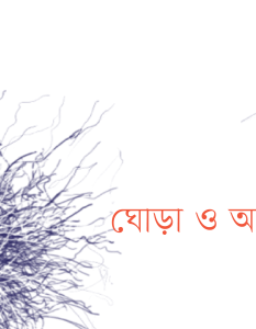 Banner_Jubayer Dukhu-01