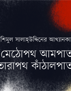 Banner_Shimul Salahuddin