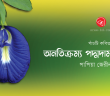 Banner_Papia-Zerin