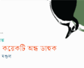 মা ও কয়েকটি অন্ধ ডাহুক
