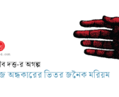 জমজ অন্ধকারের ভিতর জনৈক মরিয়ম